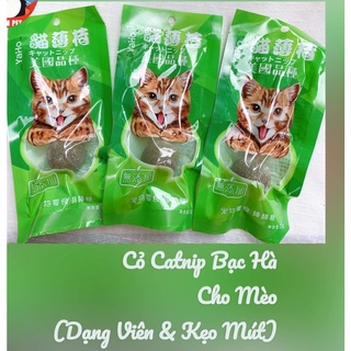 Cỏ Catnip bạc hà cho mèo ( dạng viên , kẹo mút )