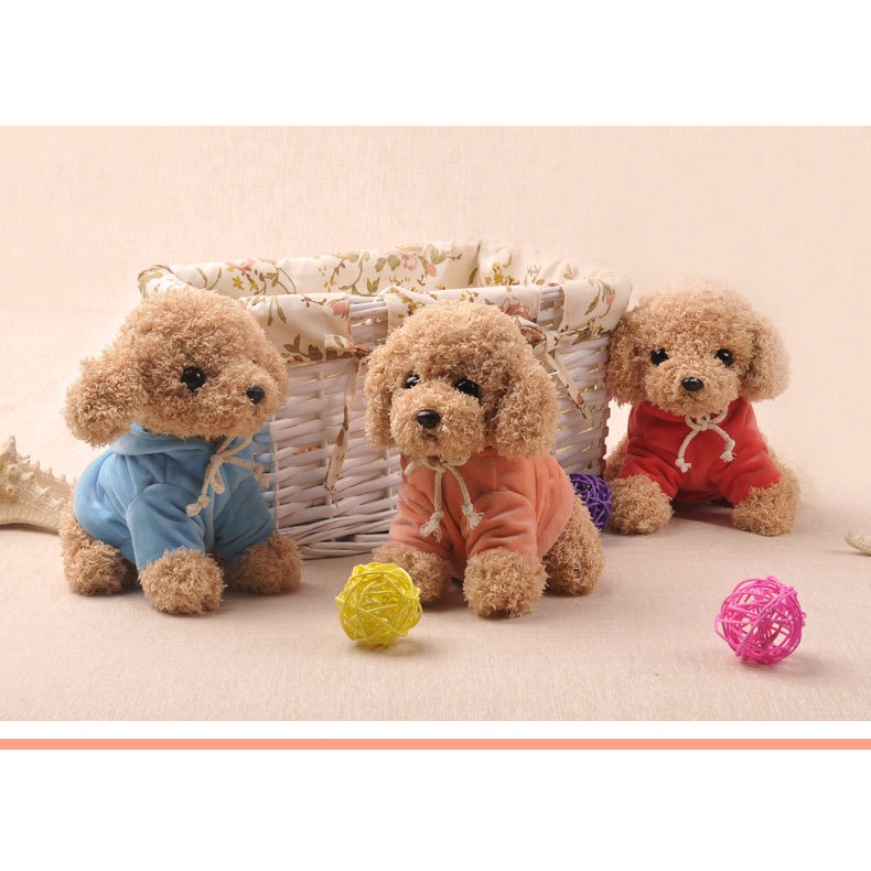 Thú Nhồi Bông Hình Chú Chó Teddy 25Cm Cho Bé