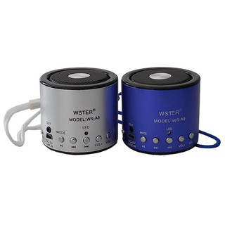 Loa cắm thẻ wsa8