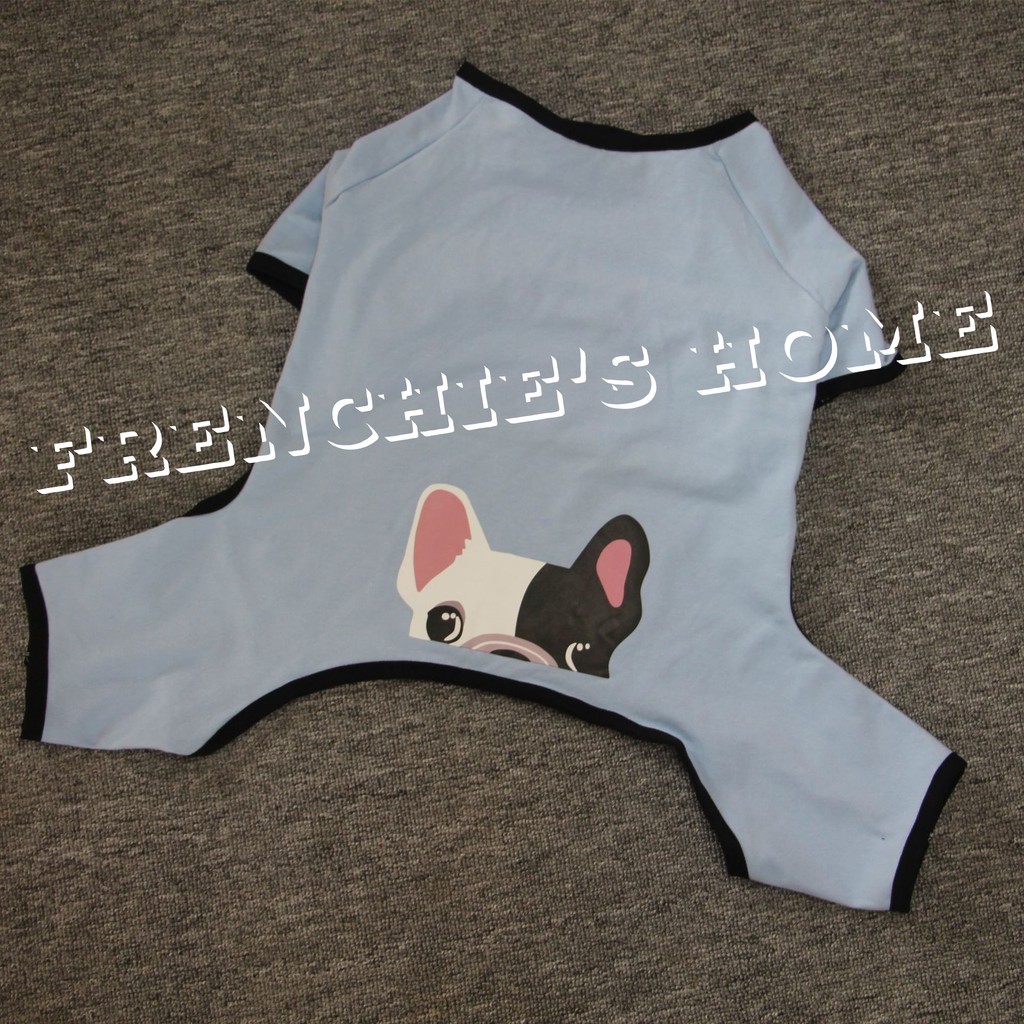 BỘ BODYSUIT "MẶT BULL PHÁP FRENCH BULLDOG HỒNG & XANH" CHO CHÓ BULL/PUG ( FRENCHIE'S BODYSUIT ) | BigBuy360 - bigbuy360.vn
