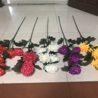 hoa cúc vạn thọ vải. 25k/cành