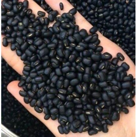 Đậu đen xanh lòng