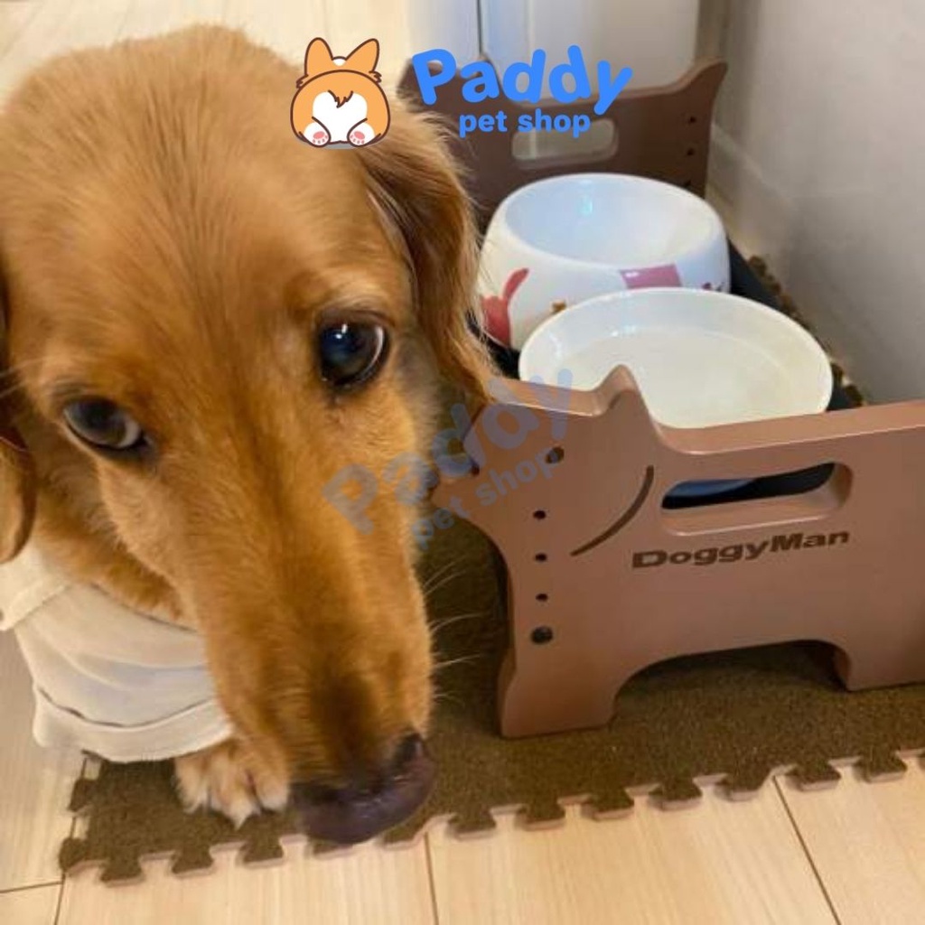 Bàn Ăn Chống Gù Cho Chó DoggyMan