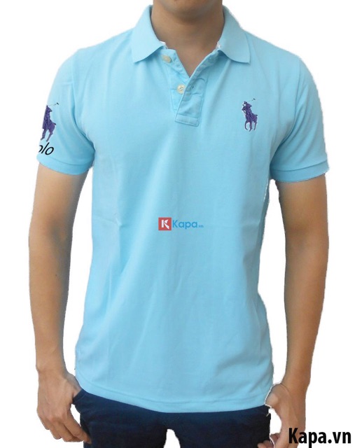 AO CÁ SẤU NAM THUN COTTON | BigBuy360 - bigbuy360.vn