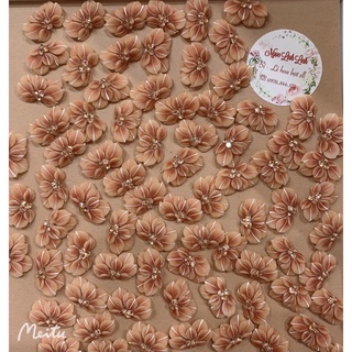 hoa bột nail