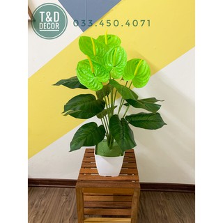 Cây giả- Cây môn xanh 70cm