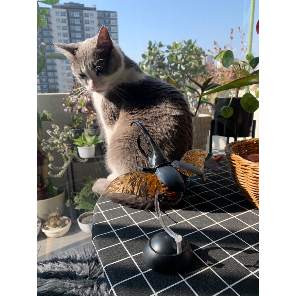 Mô hình BANDAI chính hãng Nhật Bản Bọ cánh cứng