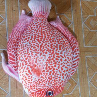 Gối Ôm Cá Biển 3D