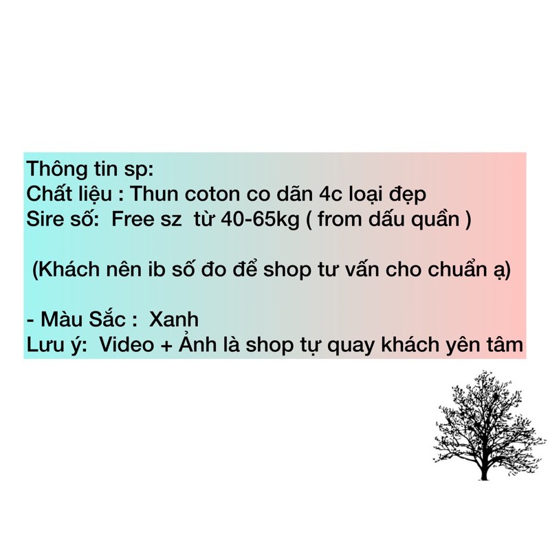[ Hàng Quảng Châu ]  Áo phông gấu xanh, áo thun nữ chất thun loại 1 / Thoitrangsvtn - [ Có video + ảnh thật ] | BigBuy360 - bigbuy360.vn