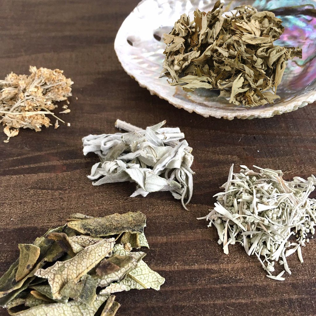 50 loại lá xô thơm - Thảo mộc thanh tẩy nhà cửa (Palo santo, Xô thơm trắng, Xô thơm xanh, Tuyết tùng, hương thảo...