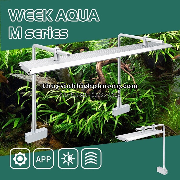ĐÈN LED WEEK RAPTER M SERIES PRO WRGB UV APP - ÁNH SÁNG CHUYÊN DỤNG TRỒNG CÂY THỦY SINH