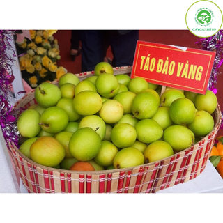 Cây táo đào vàng giống chín sớm cao 30-40cm (Ảnh thật số 2)