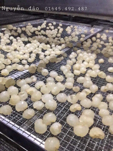 500g Đặc sản nhãn bắc (long nhãn) hưng yên sấy khô loại 1