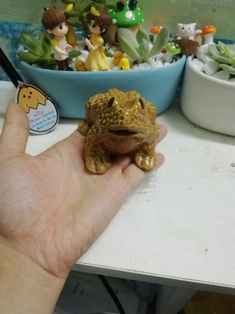 [GIÁ SỐC - GIẢM 30%]Phụ kiện trang trí bể cá -  Ếch con làm tiểu cảnh trang trí, mô hình, phụ kiện chăm sóc thú cưng của