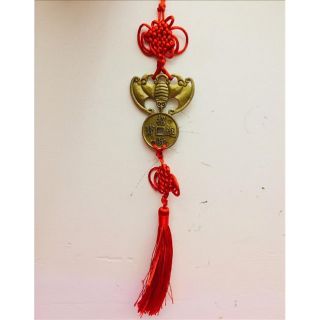 Dơi ngậm tiền phúc tinh dài 10cm.