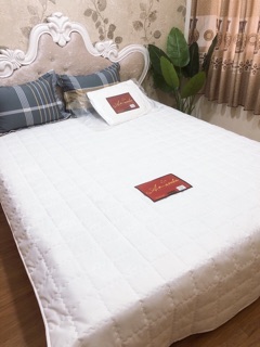 Ruột Chăn Hè Thương Hiệu AMada Lông Vũ