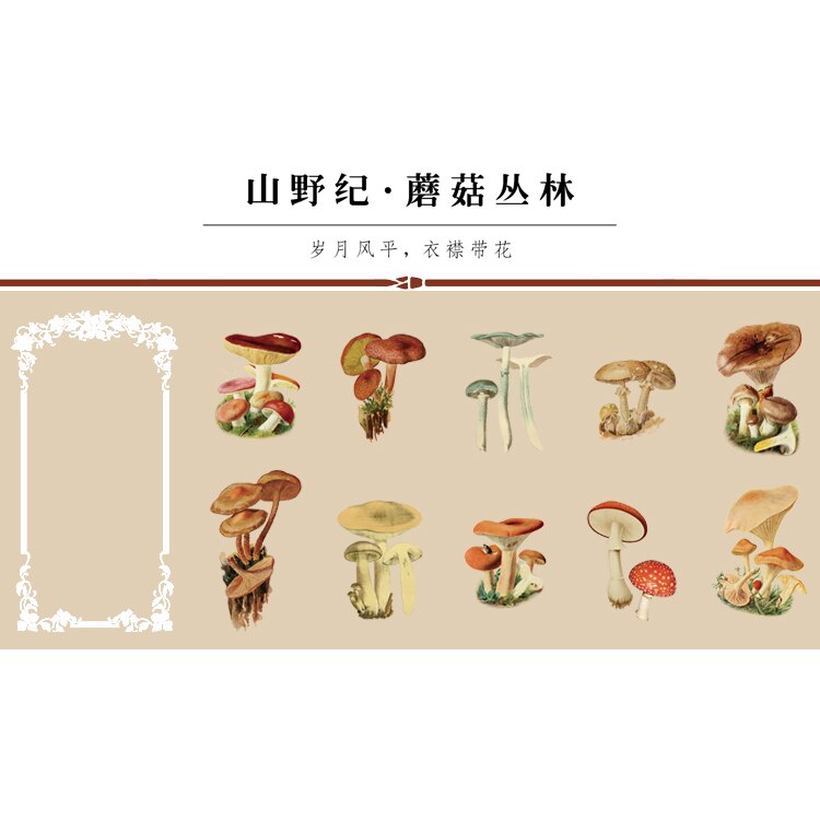 Set 11 miếng dán nhiều mẫu xinh xắn dễ thương trang trí tiện dụng