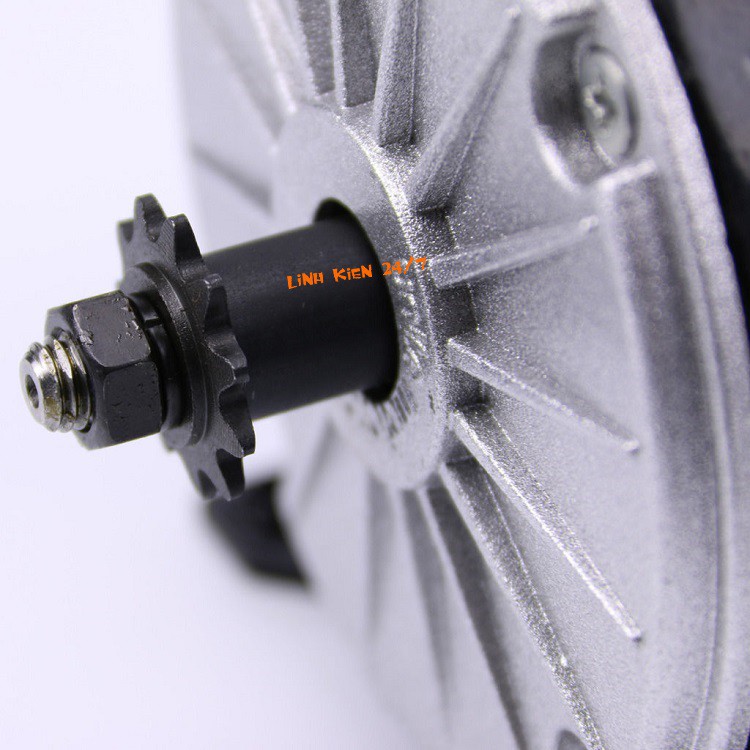 Động Cơ Xe Điện MY1025 24VDC 250W Trục 12mm (Loại Tốt)