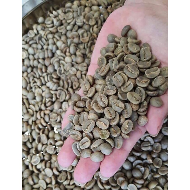 Cà phê nhân xanh Arabica Cầu Đất (5kg)