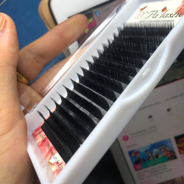 Combo mi chồn d’plash và phụ kiện mi