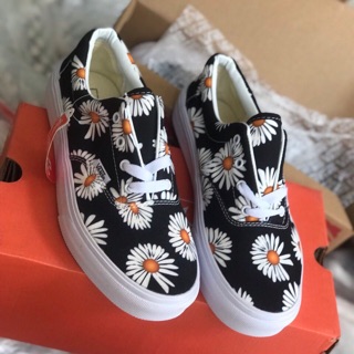Giàu vans hoa cúc