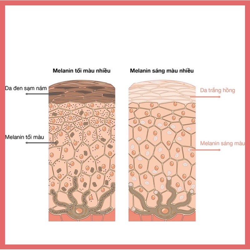 Viên Uống Trắng Da Glutathione | BigBuy360 - bigbuy360.vn