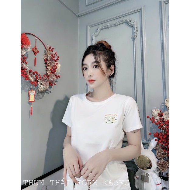 Áo THUN THÁI thêu form rộng