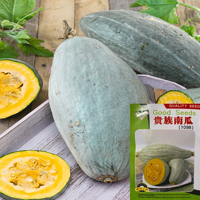 Hạt giống Bí Ngô Guatamalan blue F1 Nhập khẩu - 10 hạt - nảy mầm 95%