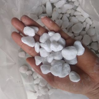 Đá trắng 1kg trang trí bể cá - betta hải dương