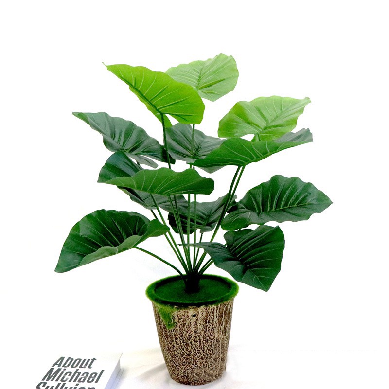 Cây Giả - Cây trầu bà giả xanh 12 lá đẹp, cao 54 cm trang trí không gian gia đình, văn phòng