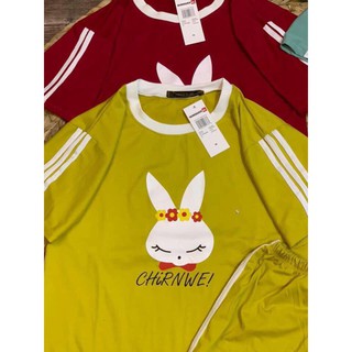 Bộ đồ thun hình thỏ chất siêu đẹp
