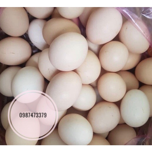 Trứng gà ta quê tươi, ngon, sạch