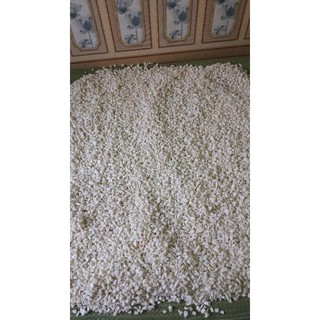 Cùi bưởi khô 100g