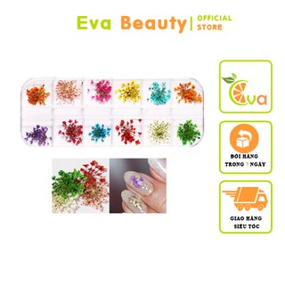 Hoa khô nail trang trí móng cánh nhỏ 12 màu