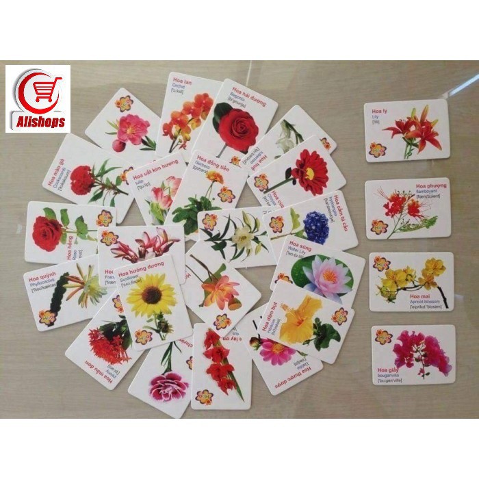 [ Gía siêu rẻ ] FLASH CARD VIỆT ANH ( BỘ 16 CHỦ ĐỀ 416 THẺ)