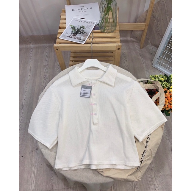 Áo polo croptop cổ đức phối cúc ngực, áo xinh đi chơi, freesize &lt;55kg