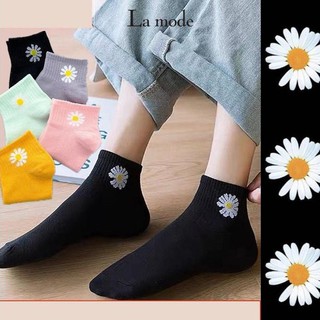 Tất Vớ Cổ Lửng Basic Hình Bông Hoa Cúc Khuyết Cánh - La mode