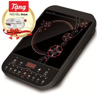 Bếp từ đơn Sato STB-801 (STB801)