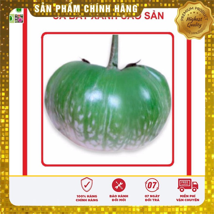 Hạt giống Cà Bát Xanh (da ếch) 2gram