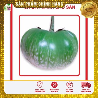 Hạt giống Cà Bát Xanh 2gram