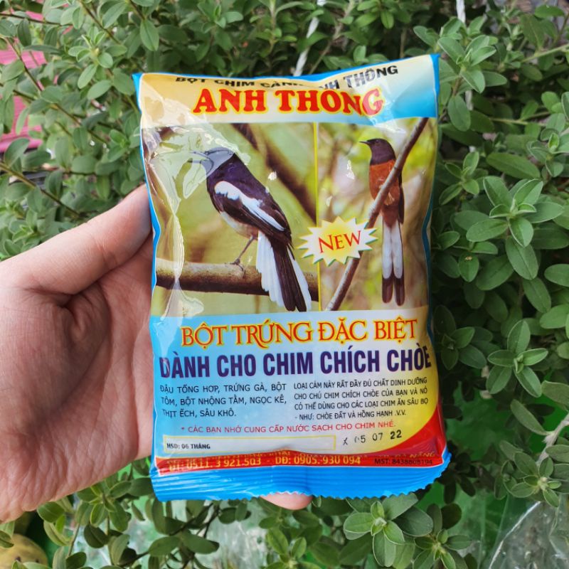Cám Anh Thông - Chích chòe -  150g