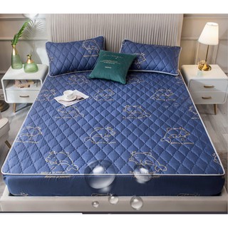 Ga Chống Thấm Cotton Cao Cấp + Gối