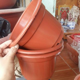 Sét 30 chậu nhựa trồng cây mới về loại 24m x17cm