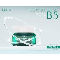 Kem dưỡng ẩm phục hồi da MQ Skn Recovery B5