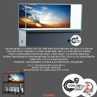 Tranh dán hồ cá 3d , hồ cá rồng , la hán , cá dĩa …