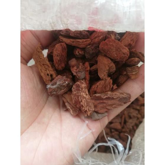 Vỏ thông lót chuồng, lót chuồng bò sát , gỗ thông lót chuồng