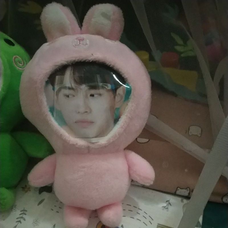 gấu bông nhét ảnh brightwin mewgulf taynew offgun bkpp,có in theo yêu cầu