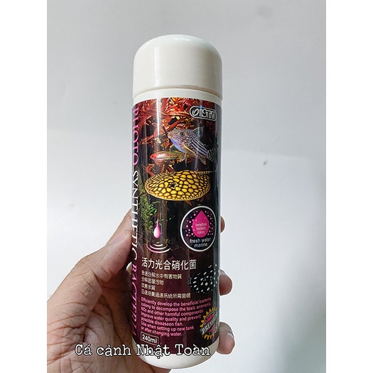 PHOTO SYNTHETIC BACTERIA (PSB) ISTA ĐÀI LOAN 240ML KHỬ AMONIAC, NITRITE VÀ CÁC CHẤT ĐỘC, BỔ SUNG VÀ GIÚP TẠO HỆ VI SINH