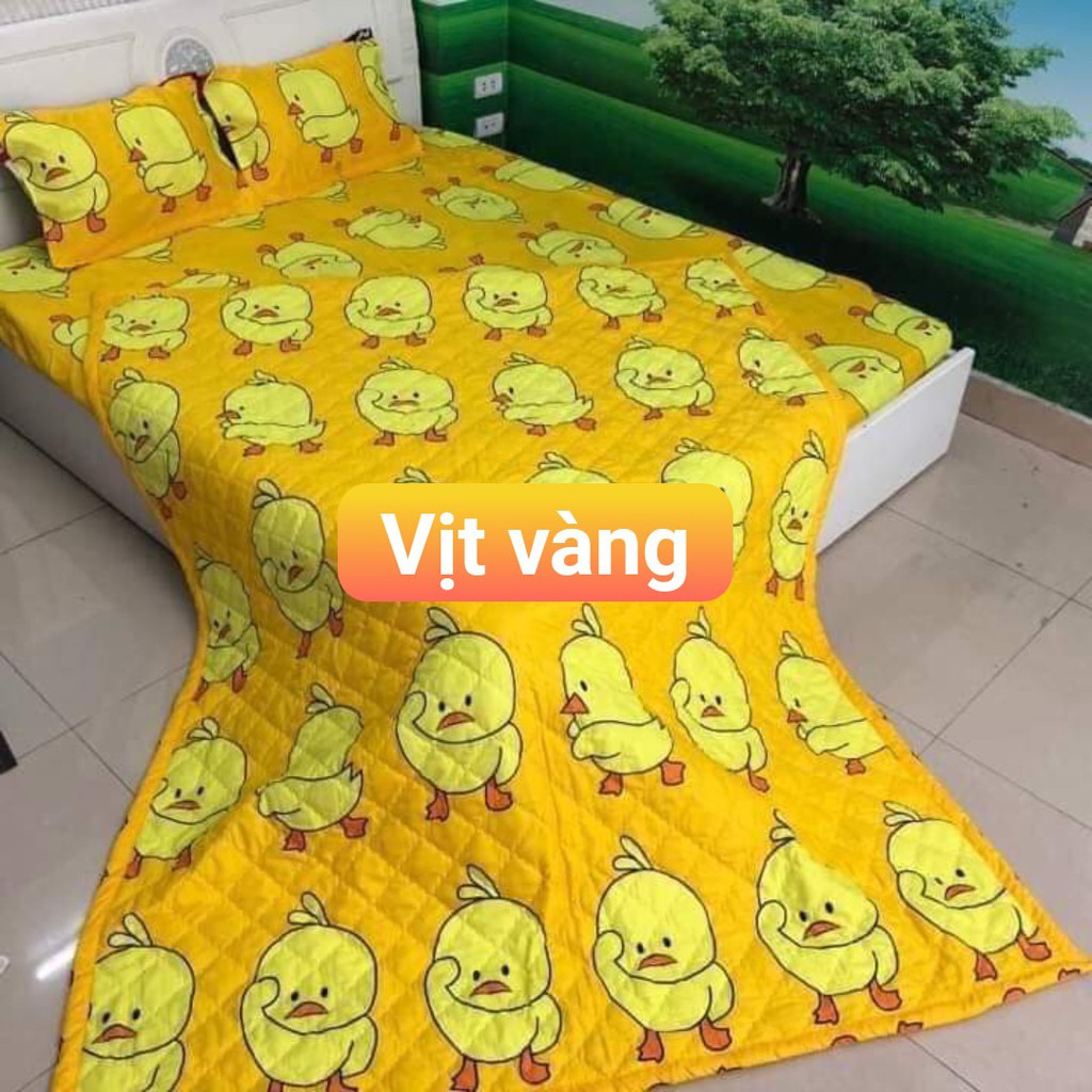 Bộ Ga Gối Nệm 4 Món Tông Màu Tươi Sáng Đầy Đủ Các Size