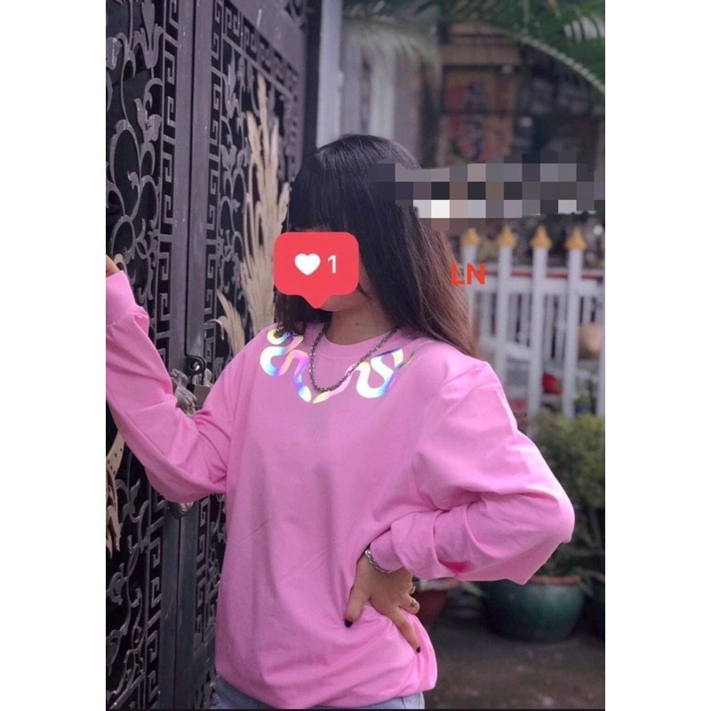 Áo bo gấu 2 rắn vòng cổ phản quang DA38